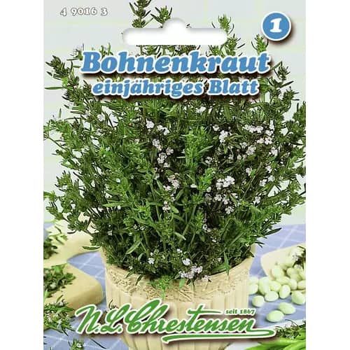 Asās garšvielas, viengadīgas interface.image 1 interface.art 96466