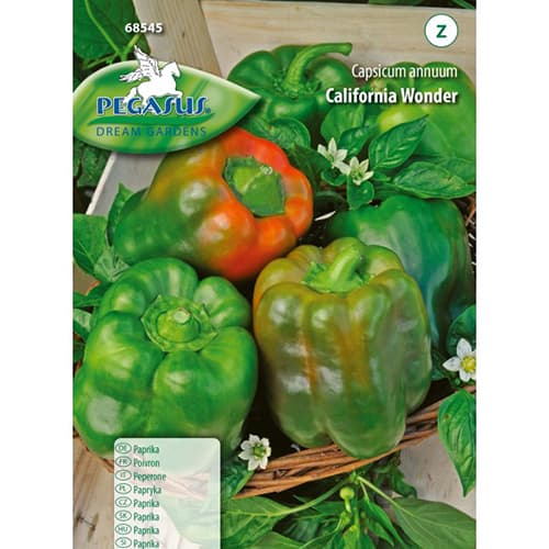 Asie pipari California Wonder Kiepenkerl interface.image 1 interface.art 50015