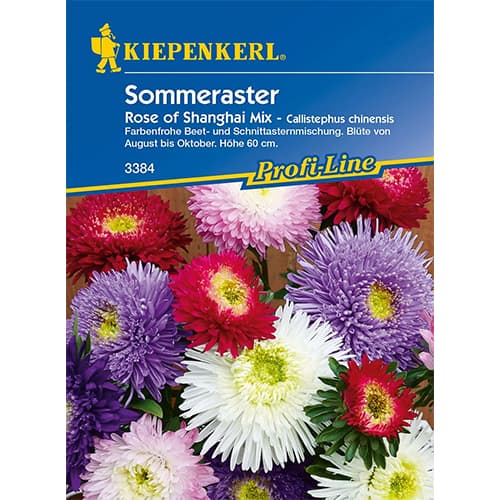 Asteres Rose of Shanghai interface.image 1 interface.art 86317