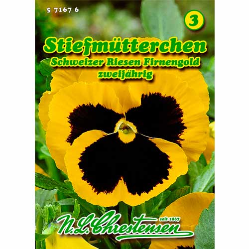 Atraitnītes Schweizer Riesen, Firnengold Chrestensen interface.image 1 interface.art 50038