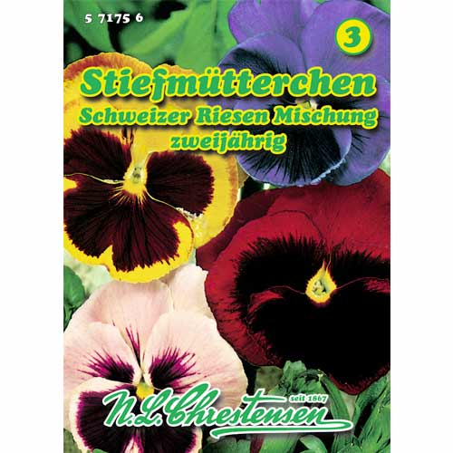 Atraitnītes Schweizer Riesen, maisījums Chrestensen interface.image 1 interface.art 50039