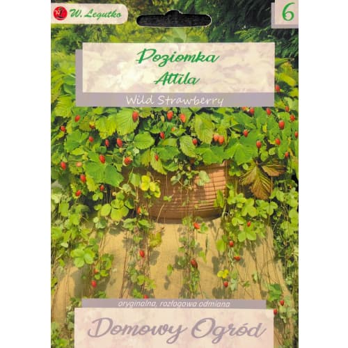 Attila zemeņu interface.image 1 interface.art 69663