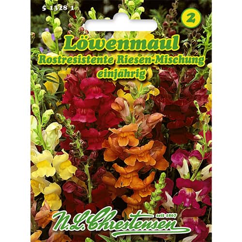 Augstās lauvmutītes, maisījums interface.image 1 interface.art 86118