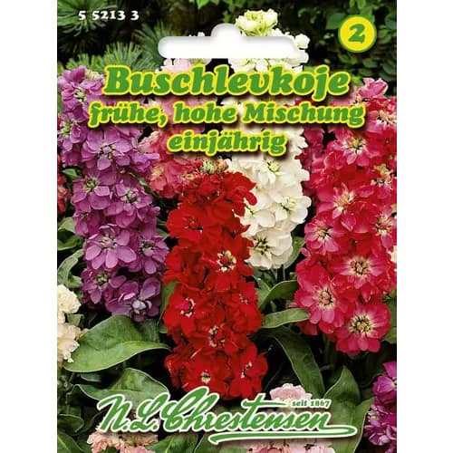 Augstās matiolas, maisījums interface.image 1 interface.art 96438