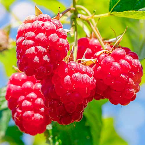 Avene Malling Promise interface.image 1 interface.art 5841