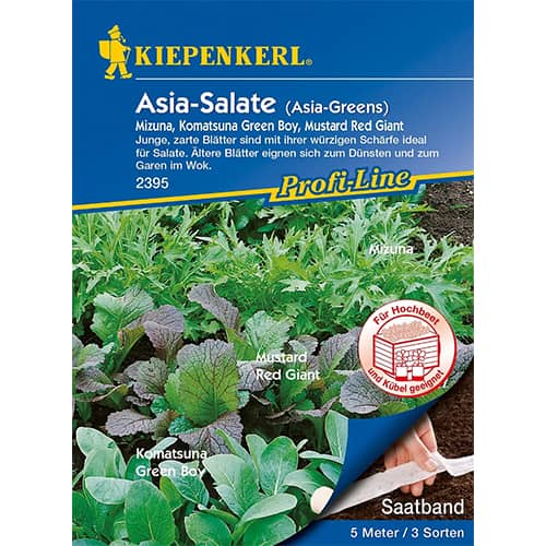 Āzijas salāti, maisījums interface.image 1 interface.art 87291