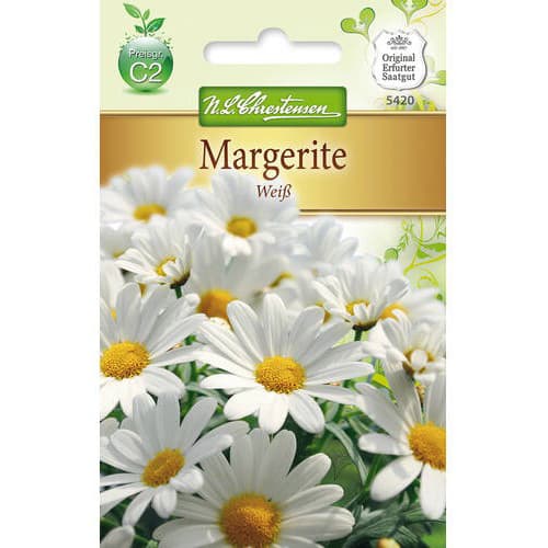 Baltas margrietiņas interface.image 1 interface.art 78972