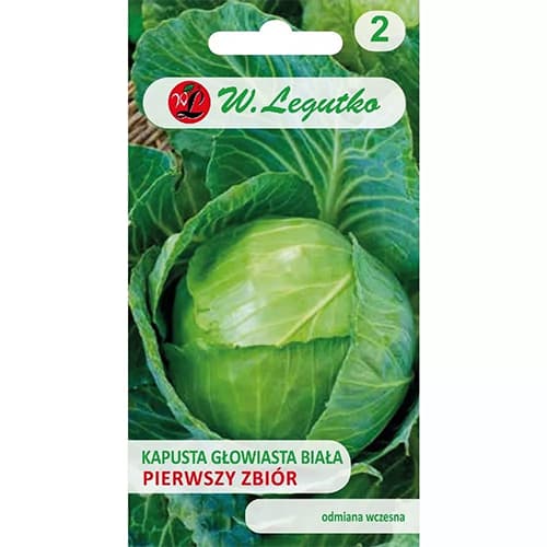 Baltgalviņu kāposti Pirmā raža interface.image 1 interface.art 69482