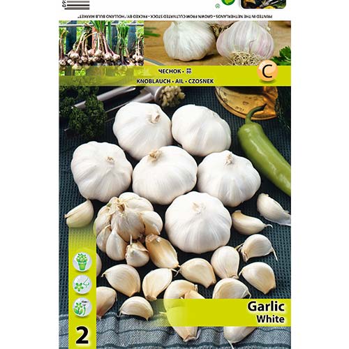 Baltie ķiploki interface.image 1 interface.art 70500