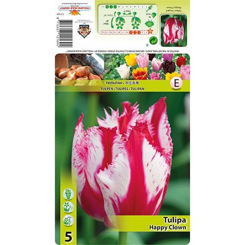 Bārkšziedu tulpes Happy Clown interface.image 1 interface.art 68398