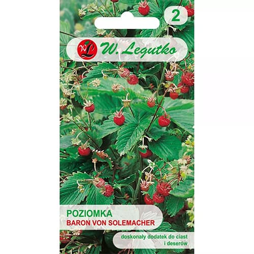 Baron von Solemacher zemenes interface.image 1 interface.art 69529