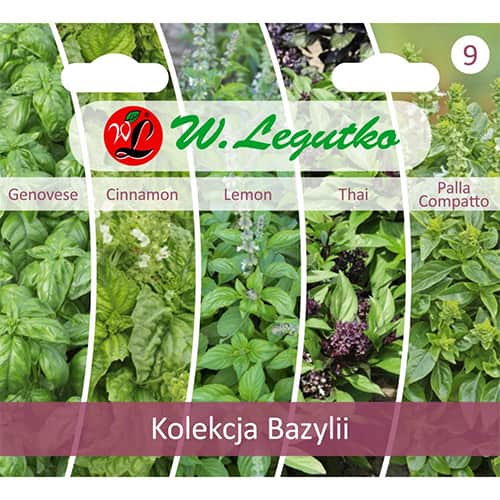 Bazilika kolekcija interface.image 1 interface.art 96837