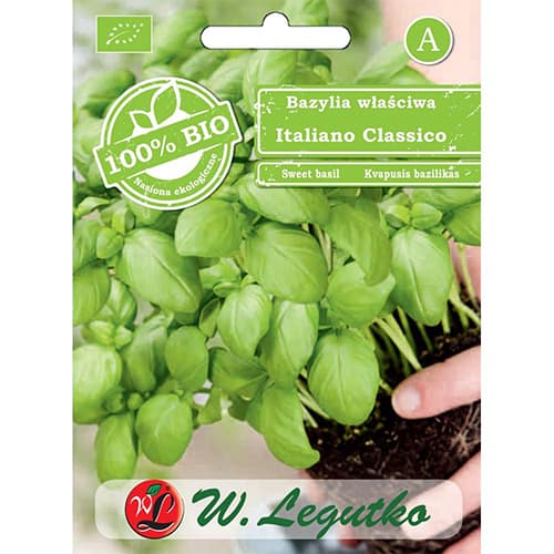 Baziliks Italiano Classico interface.image 1 interface.art 86722