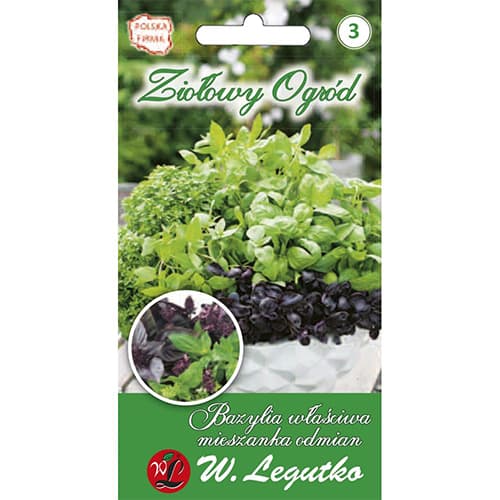 Baziliks, jauktas šķirnes interface.image 1 interface.art 69668