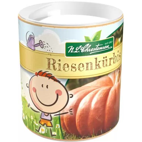 Bērnu sēklas, Ķirbis interface.image 1 interface.art 87837