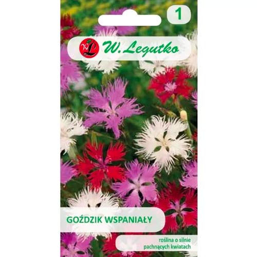 Brīnišķīga neļķes, maisījums Legutko interface.image 1 interface.art 50103