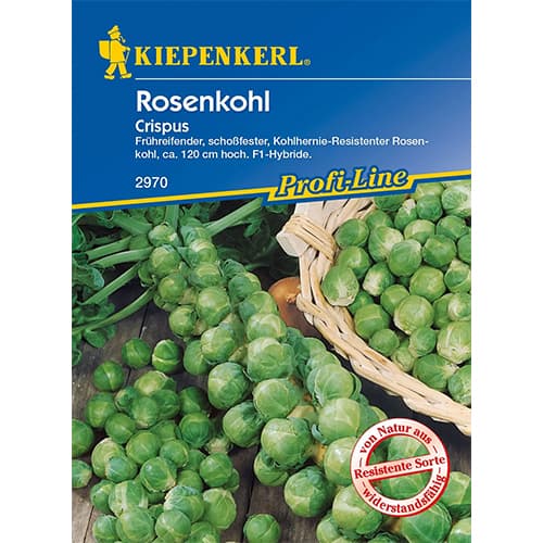 Briseles kāposti Crispus, F1 interface.image 1 interface.art 96658