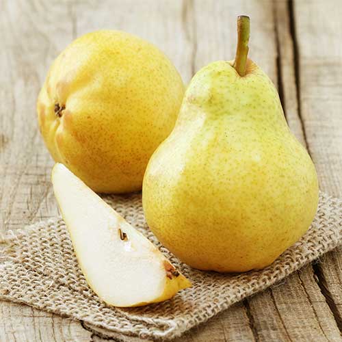 Bumbieris Highland interface.image 1 interface.art 7952