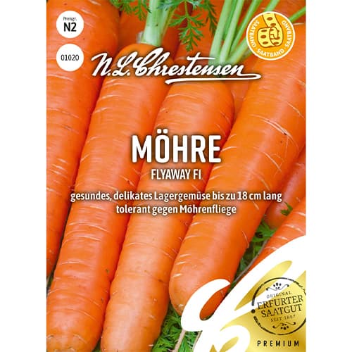 Burkāni Flyaway F1 Chrestensen interface.image 1 interface.art 86067