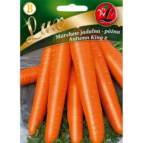 Burkānu rudens karalis 2 interface.image 1 interface.art 78675