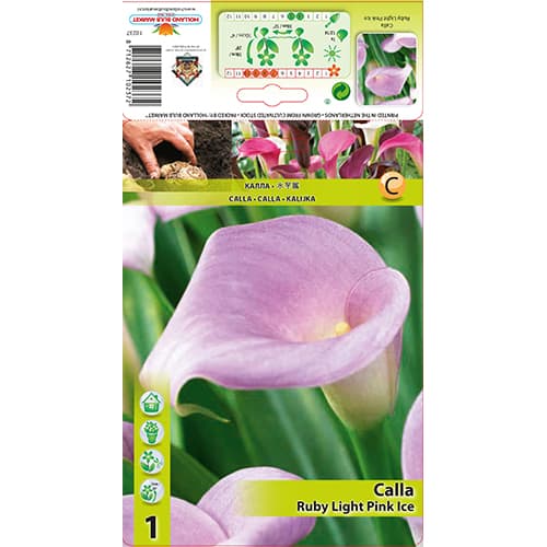 Calla Ruby Light Pink Ice interface.image 1 interface.art 77828