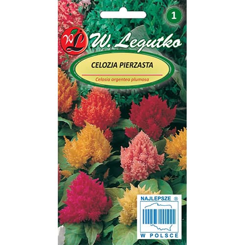 Celosia piedmont, jaukt interface.image 1 interface.art 78535