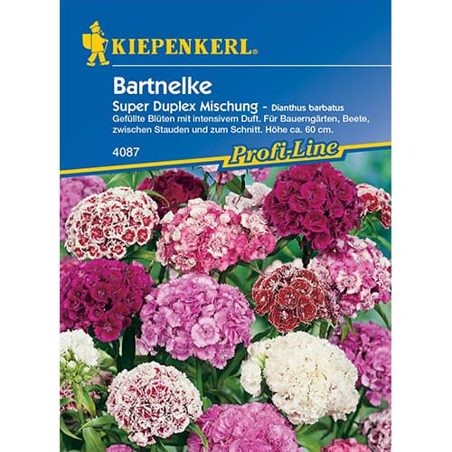 Čemuru neļķes Duplika interface.image 1 interface.art 86250