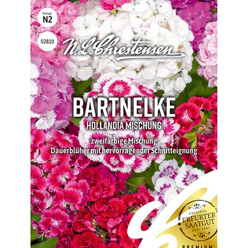 Čemuru neļķes Hollandia, maisījums interface.image 1 interface.art 86123