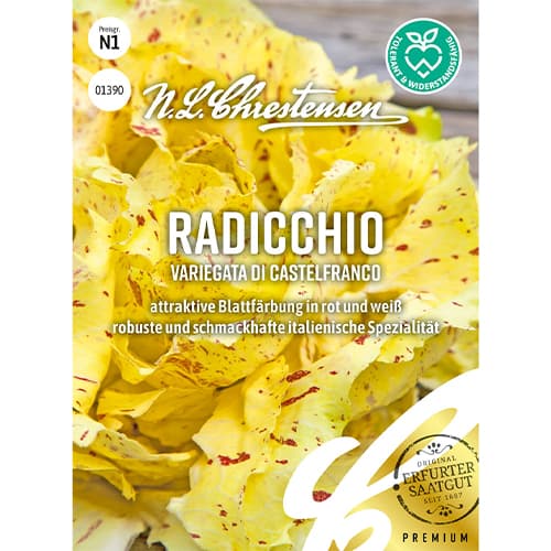 Cigoriņi Variegata di Castelfranco interface.image 1 interface.art 86082