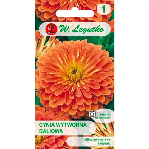 Cinnijas rafinuotosios Eldorado Legutko interface.image 1 interface.art 78543