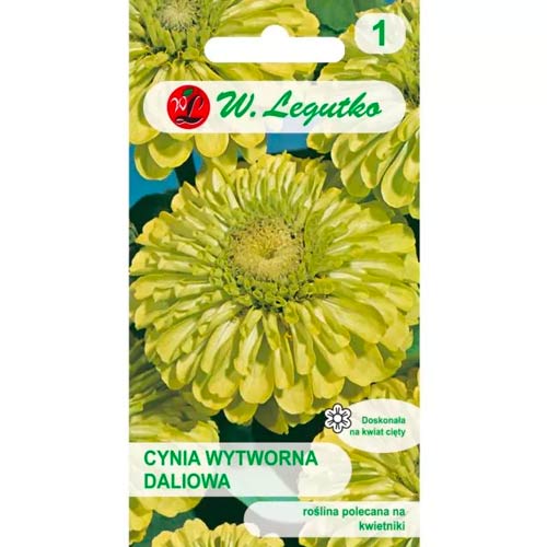 Cinnijas rafinuotosios Envy Legutko interface.image 1 interface.art 78544