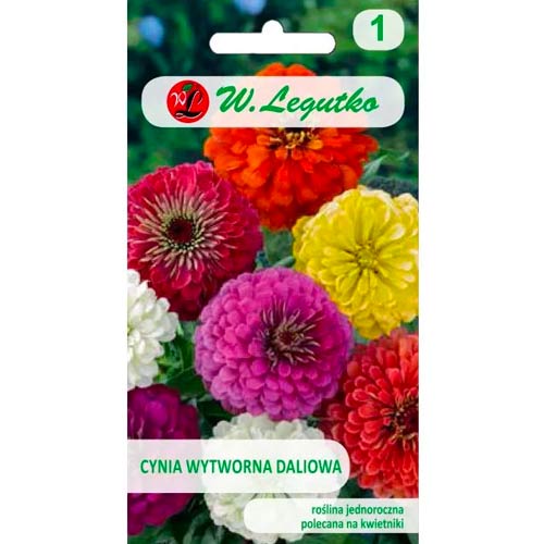 Cinnijas rafinuotosios, jaukt interface.image 1 interface.art 50088