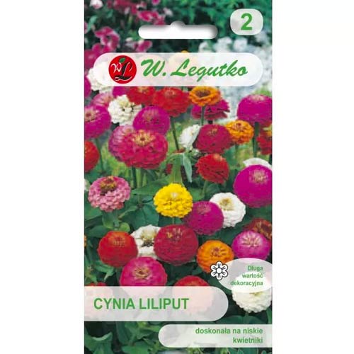 Cinnijas rafinuotosios Liliput, jaukt Legutko interface.image 1 interface.art 69578