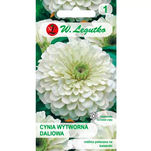 Cinnijas rafinuotosios Polar Bear Legutko interface.image 1 interface.art 78540