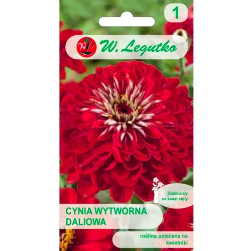 Cinnijas rafinuotosios Scarlet Flame Legutko interface.image 1 interface.art 69576