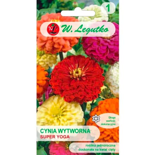 Cinnijas rafinuotosios Super Yoga, jaukt Legutko interface.image 1 interface.art 78546