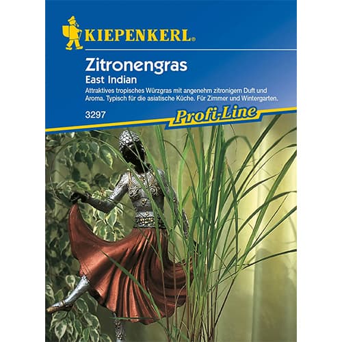 Citronzāle East Indian interface.image 1 interface.art 86559