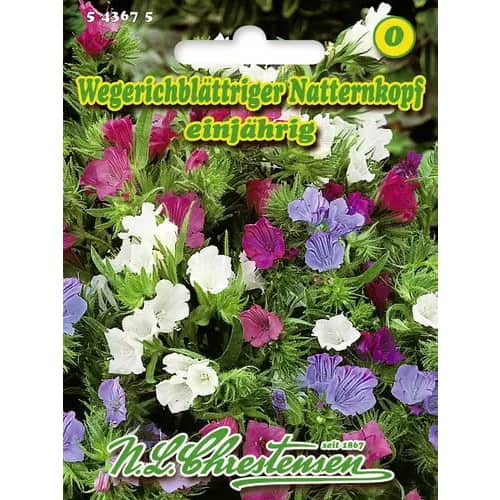 Daglīši Chrestensen interface.image 1 interface.art 96418