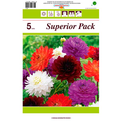 Dālija Dec Mixed interface.image 1 interface.art 76415