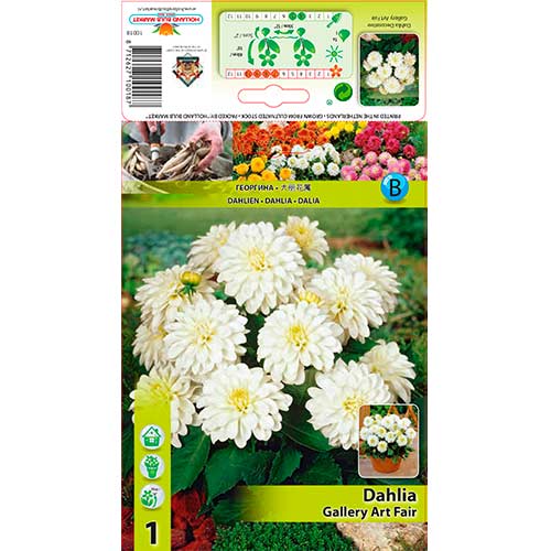 Dālija Gallery Art Fairy interface.image 1 interface.art 76208