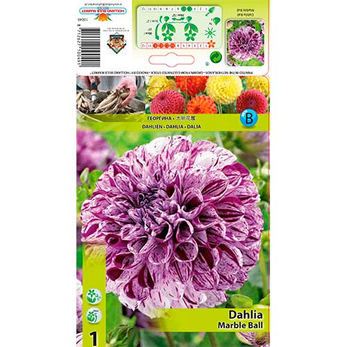 Dālija Marble Ball interface.image 1 interface.art 76215