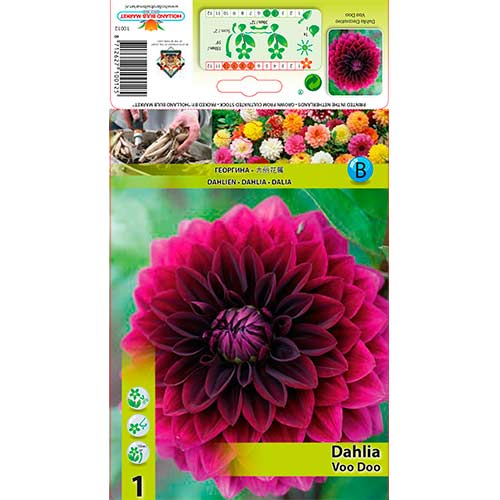 Dālija Voo Doo interface.image 1 interface.art 76561