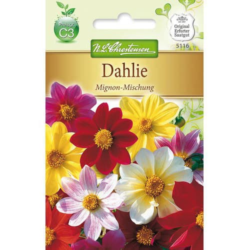 Dālijas, maisījums interface.image 1 interface.art 78907