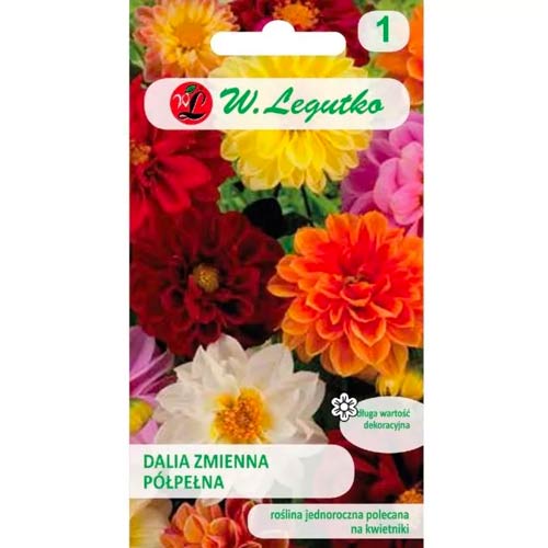 Dālijas Unwins, maisījums Legutko interface.image 1 interface.art 78549