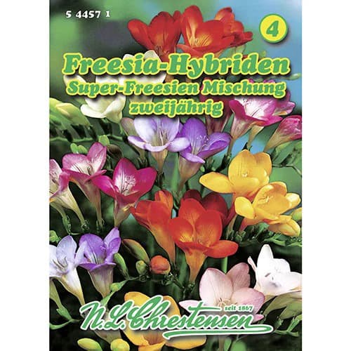 Dārza frēzijas, maisījums interface.image 1 interface.art 96421