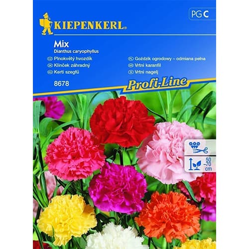 Dārza neļķes, maisījums Kiepenkerl interface.image 1 interface.art 96527