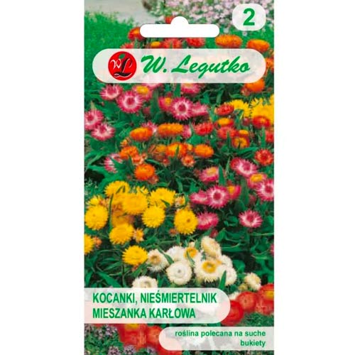 Dārza salmenes Tom Thumb, maisījums Legutko interface.image 1 interface.art 78569