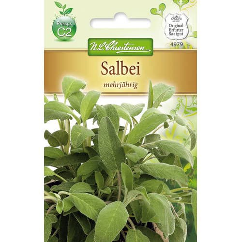 Daudzgadīgas salvijas interface.image 1 interface.art 78869