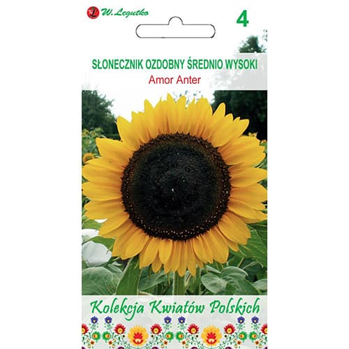 Dekoratīvā saulespuķe Amor Anter - dzeltena interface.image 1 interface.art 86733