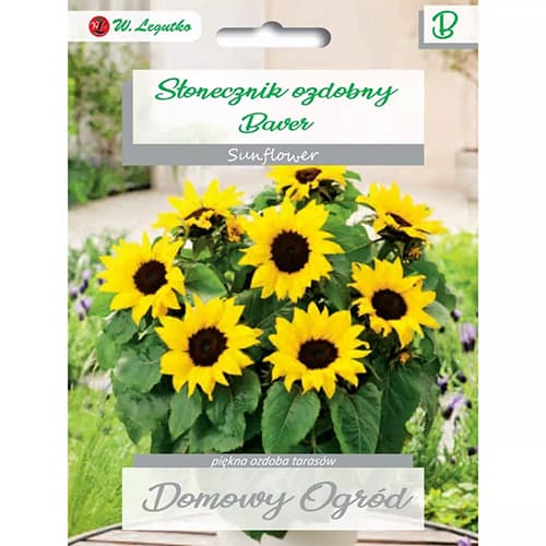 Dekoratīvā saulespuķe Baver interface.image 1 interface.art 69662